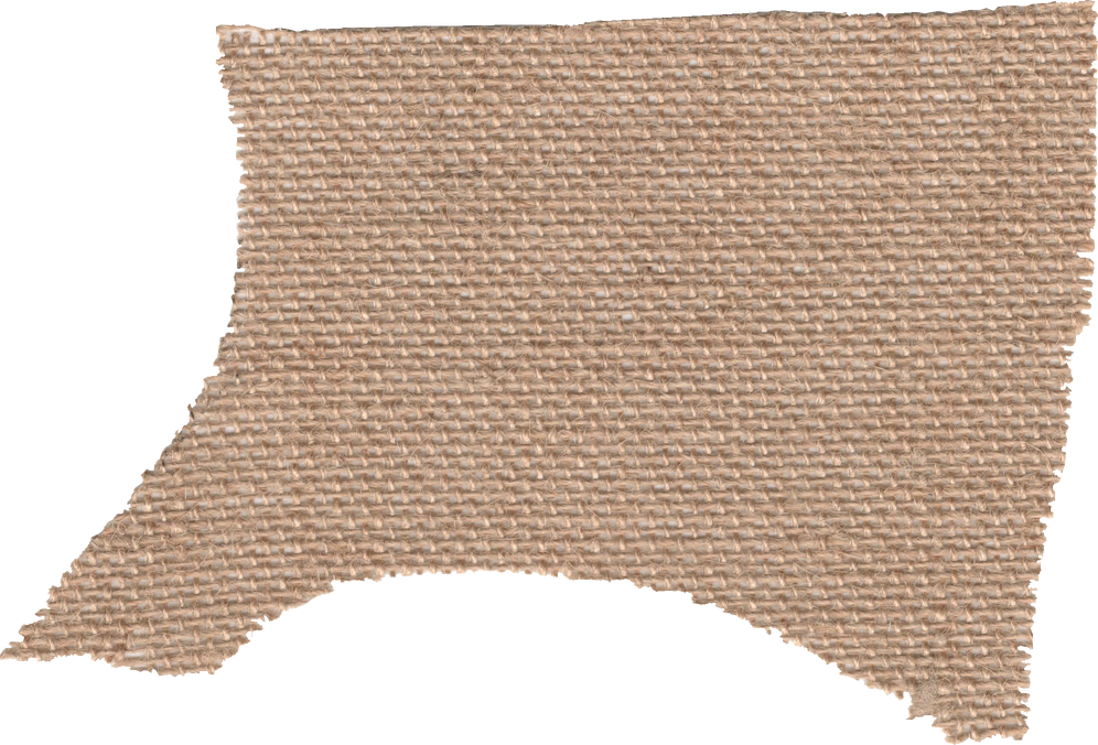 Paper Texture