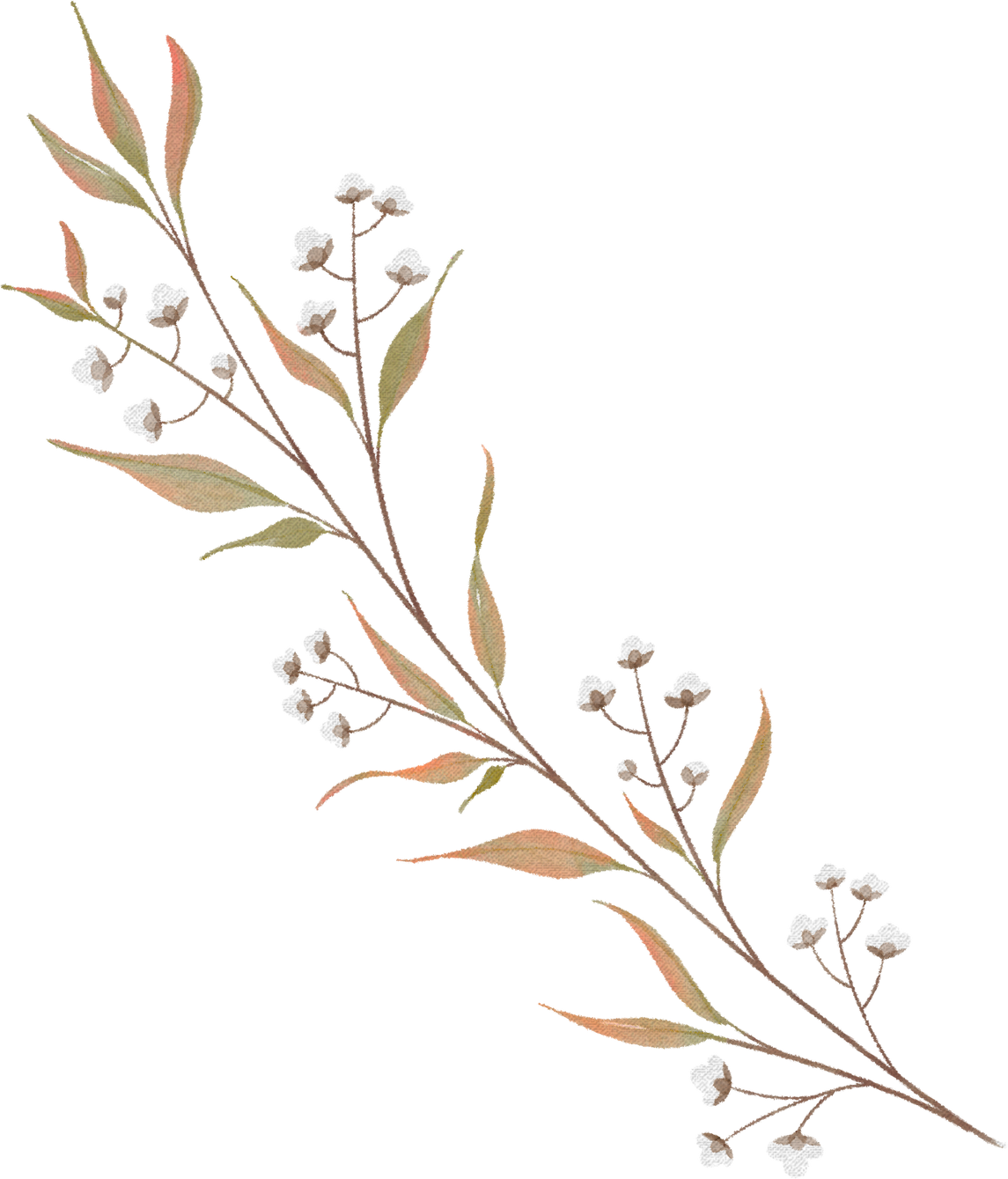 Vintage Wild Flower